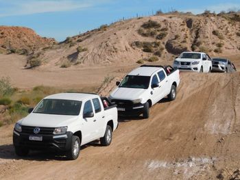 Vaca Muerta sostiene la demanda de camionetas.