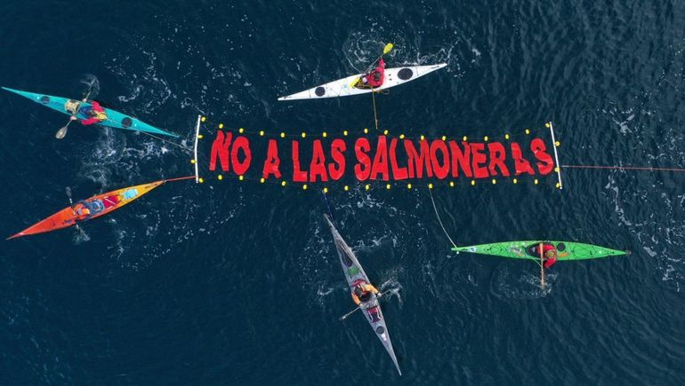 Argentinos y chilenos: No a las salmoneras