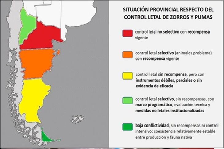 La Defensoría del Pueblo alerta: la caza de pumas y zorros resulta ineficaz para reducir pérdidas ganaderas y pone en riesgo la biodiversidad patagónica La Defensoría del Pueblo alerta: la caza de pumas y zorros resulta ineficaz para reducir pérdidas ganaderas y pone en riesgo la biodiversidad patagónica
