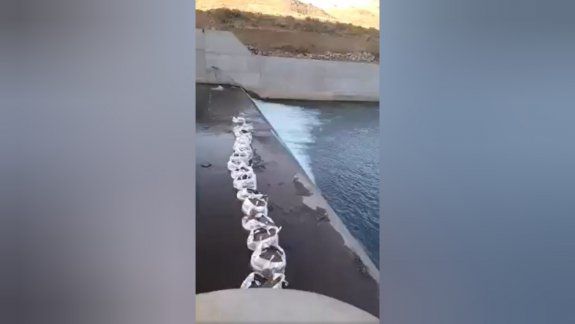 Video: por un error de obra peligra la vida de 300 mil truchas
