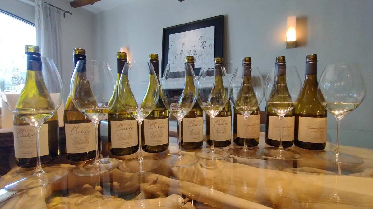 De vino del año a blanco serio y de guarda