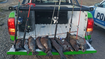 operativo en anelo: secuestraron mas de 10 truchas y elementos de pesca