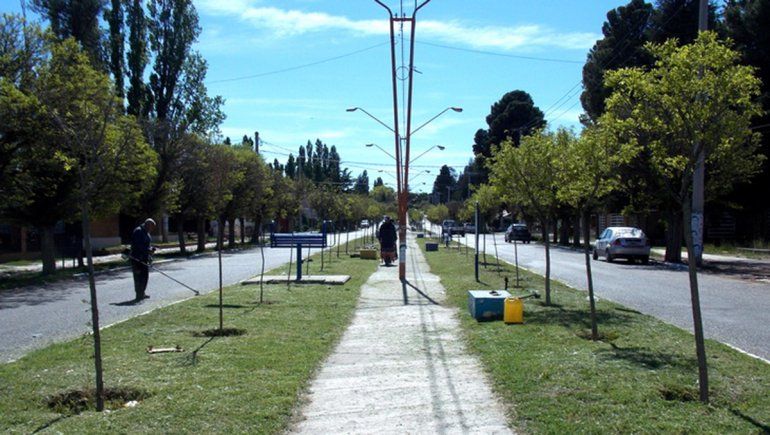 Por un corto en un espacio público, dos perros murieron electrocutados en Plaza Huincul