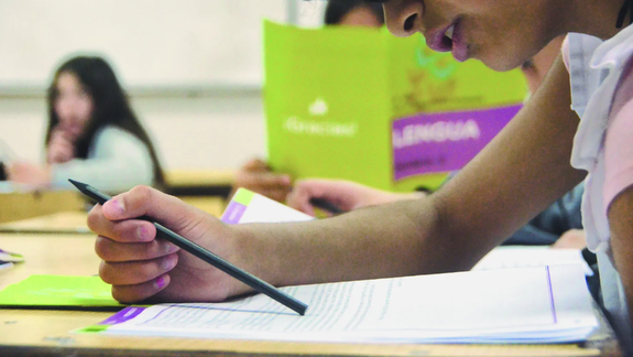 En las pruebas Aprender, el 46% de los estudiantes de sexto grado de la provincia obtuvo un nivel de desempeño básico y por debajo del nivel básico.