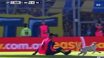 un perro se metio en la cancha durante un partido de primera y gambeteo a todos un perro se metio en la cancha durante un partido de primera y gambeteo a todos