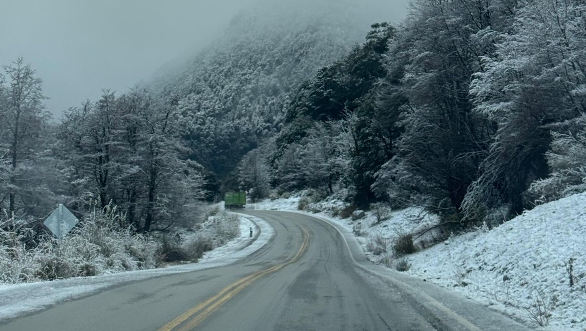 ¿Cómo se encuentran las principales rutas de Neuquén y los pasos fronterizos este domingo?