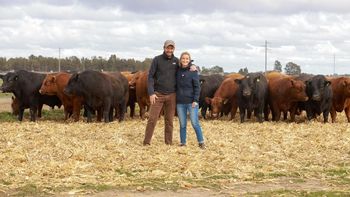 Luciano Correndo vendió un toro récord y analiza el crecimiento de la raza Angus en una región históricamente dominada por el Hereford. | LM Neuquen Luciano Correndo vendió un toro récord y analiza el crecimiento de la raza Angus en una región históricamente dominada por el Hereford.