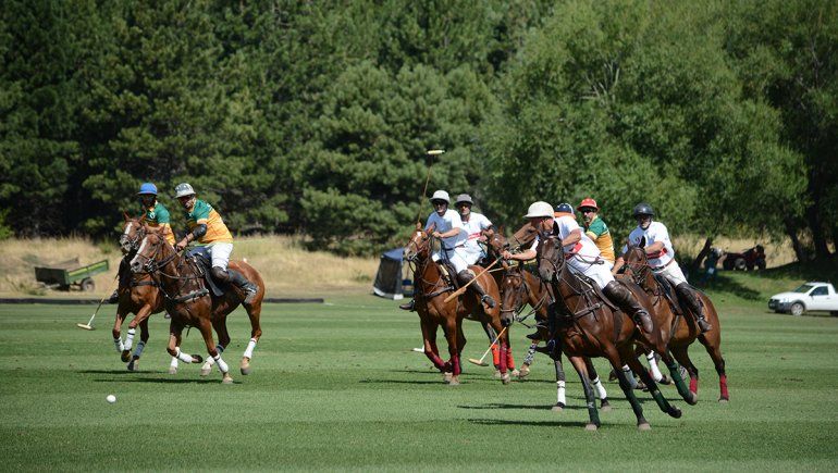 El campo se luce en la Expo Rural de Junín