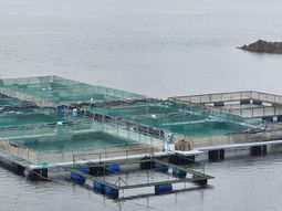 La Dirección de Fauna y Áreas Naturales Protegidas de Junín de los Andes realizó controles nocturnos. La Dirección de Fauna y Áreas Naturales Protegidas de Junín de los Andes realizó controles nocturnos.