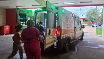 Un nene de 7 años fue atacado por siete perros y está en grave estado. Un nene de 7 años fue atacado por siete perros y está en grave estado.