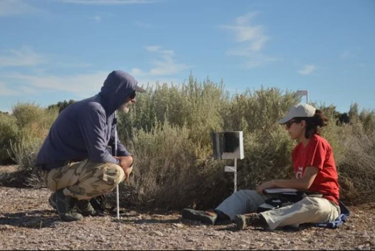 Científicos del Conicet en la Isla Tova, de Chubut, donde detectaron una población aislada de gatos. Científicos del Conicet en la Isla Tova, de Chubut, donde detectaron una población aislada de gatos.