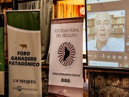 La charla de Iriarte se hizo de forma virtual. Foto: Leo Casanova. La charla de Iriarte se hizo de forma virtual. Foto: Leo Casanova.