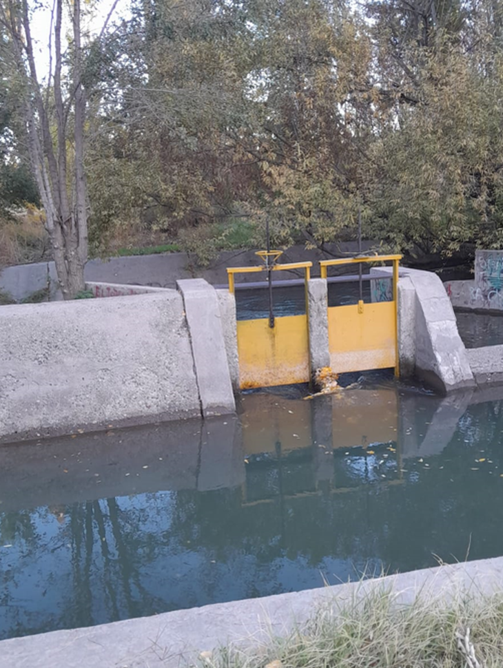 El tomero cumple un rol fundamental en el Valle productivo. El tomero cumple un rol fundamental en el Valle productivo.
