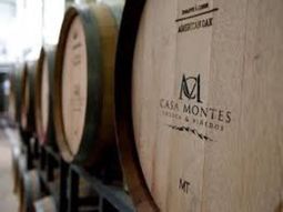 El default de de la empresa sanjuanina se suma a los problemas financieros que enfrentan bodegas y productores en un escenario de consumo en caída y costos en alza. El default de de la empresa sanjuanina se suma a los problemas financieros que enfrentan bodegas y productores en un escenario de consumo en caída y costos en alza.