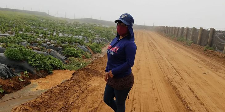 En los pueblos, la violencia de género se diluye entre silencios y miradas que juzgan, mientras las víctimas esperan una protección que no siempre llega. En los pueblos, la violencia de género se diluye entre silencios y miradas que juzgan, mientras las víctimas esperan una protección que no siempre llega.