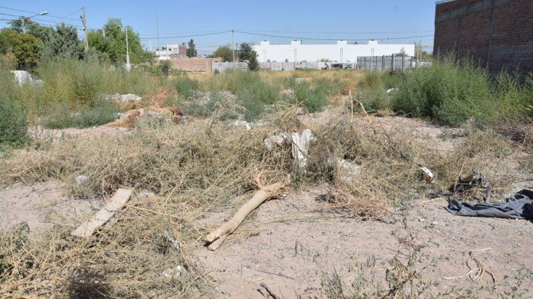 Los terrenos baldíos abandonados son postales que se repiten en distintos puntos de la ciudad de Neuquén.