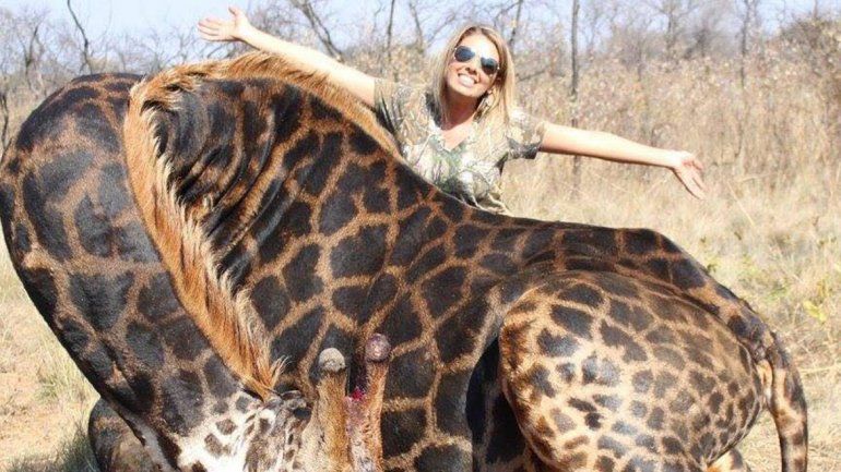 Mató a una jirafa y se rió de las críticas en redes sociales