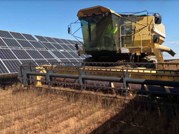 La tierra vale más como fuente energética que como cultivo. La tierra vale más como fuente energética que como cultivo.