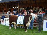 La exposición se llevará a cabo entre el 25 y el 27 de octubre en Junín de los Andes. Foto: gentileza SRN.