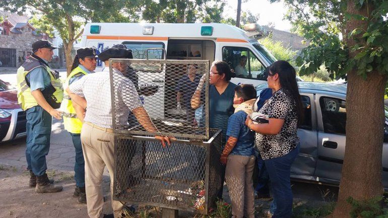 Borracho chocó y se dio a la fuga, pero lo atraparon