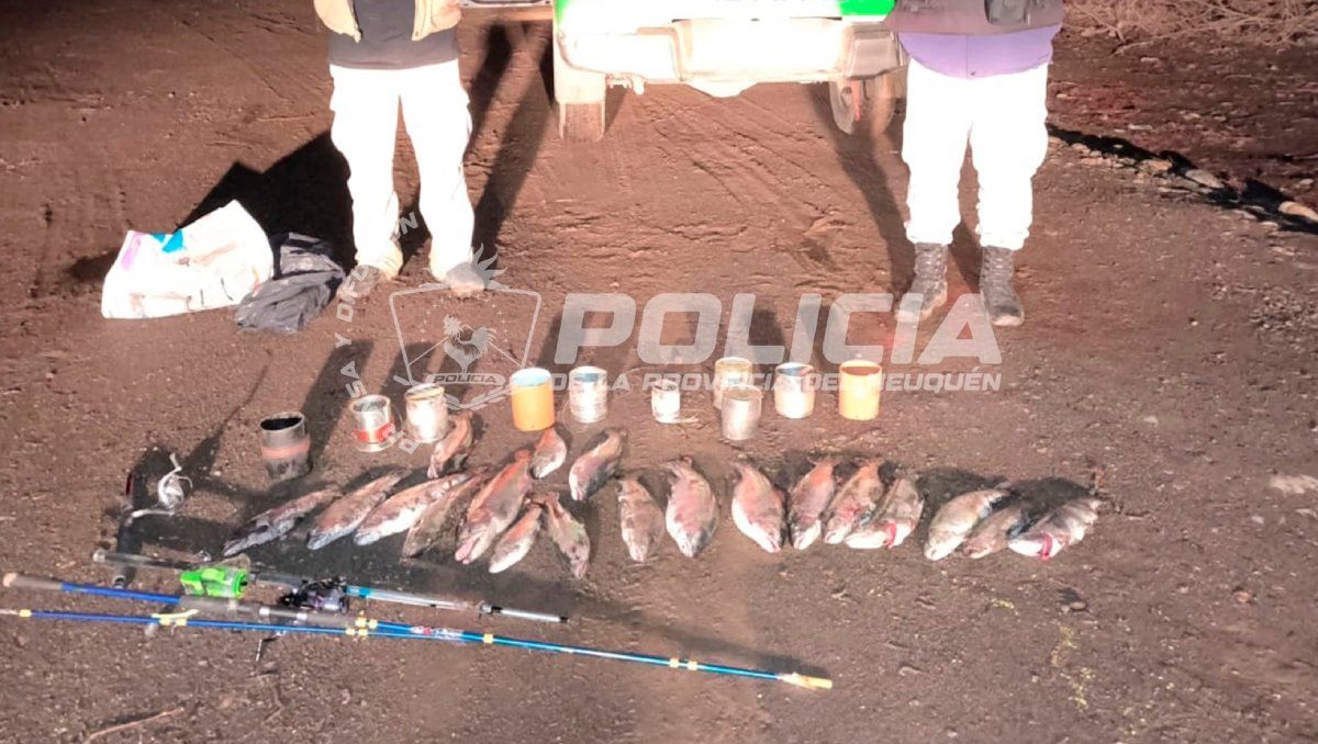 Pesca furtiva: secuestraron truchas y equipos tras un operativo en el sur de la provincia