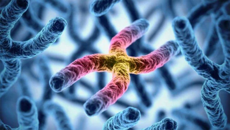 Investigadores afirman haber secuenciado la totalidad del genoma humano