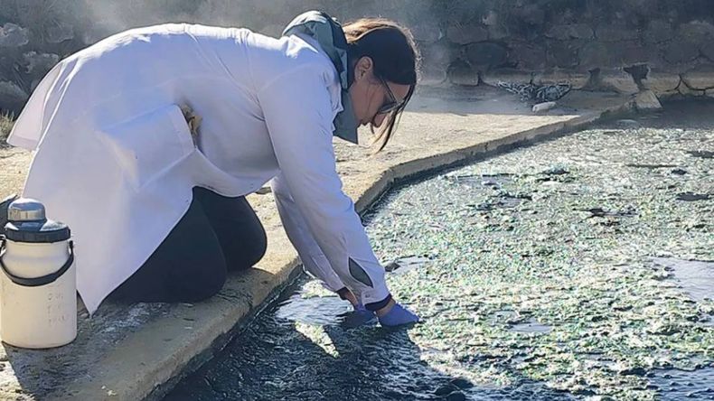 Investigan las aguas termales de Copahue. | LM Neuquen Investigan las aguas termales de Copahue.
