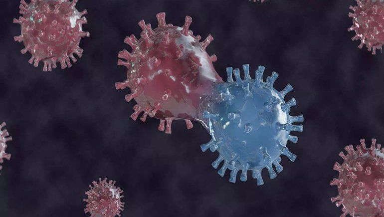 Hallan que el virus del COVID muta casi una vez a la semana