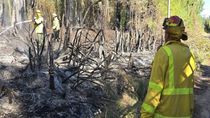 preocupacion por el tercer incendio en una chacra de centenario