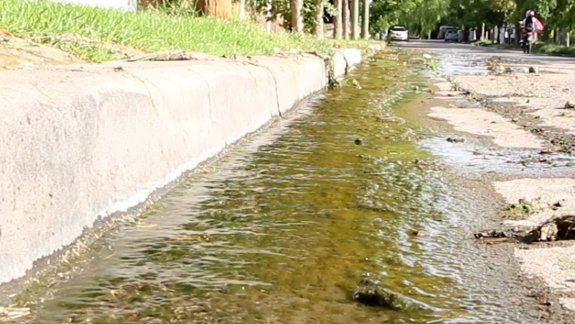 Se cumple un año de una pérdida de agua y ya tiene algas