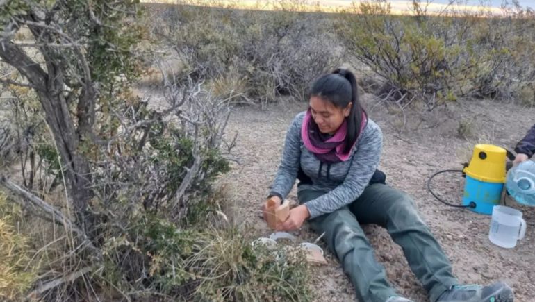 Una investigadora del CONICET en plena tarea en los suelos de la Patagonia.&nbsp;