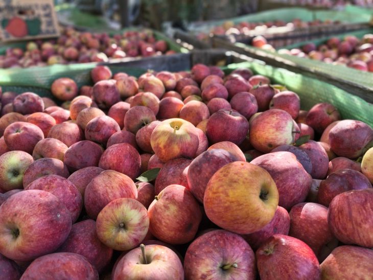 La combinación de menor oferta y demanda sostenida posiciona a la manzana en un escenario de precios históricos en Argentina.