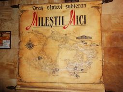 conoce la bodega de vinos mas grande del mundo conoce la bodega de vinos mas grande del mundo