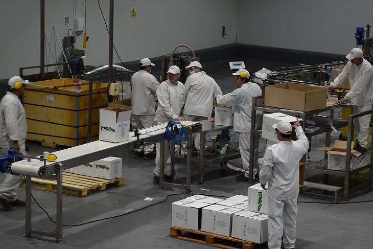 “Abarrotaron el mercado de jugo”, describe González sobre el impacto de China en un escenario internacional que presiona los valores. “Abarrotaron el mercado de jugo”, describe González sobre el impacto de China en un escenario internacional que presiona los valores.