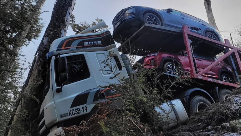 Impactante choque en el paso Cardenal Samoré: un camión transportador se estrelló contra un árbol
