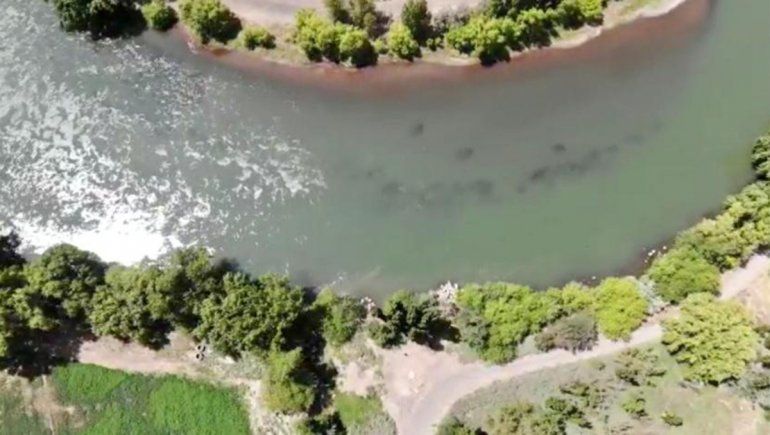 Alerta en Centenario: caño tira líquido crudo al río Neuquén