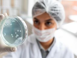 Los científicos argentinos han marcado un hito en la biotecnología global. Los científicos argentinos han marcado un hito en la biotecnología global.