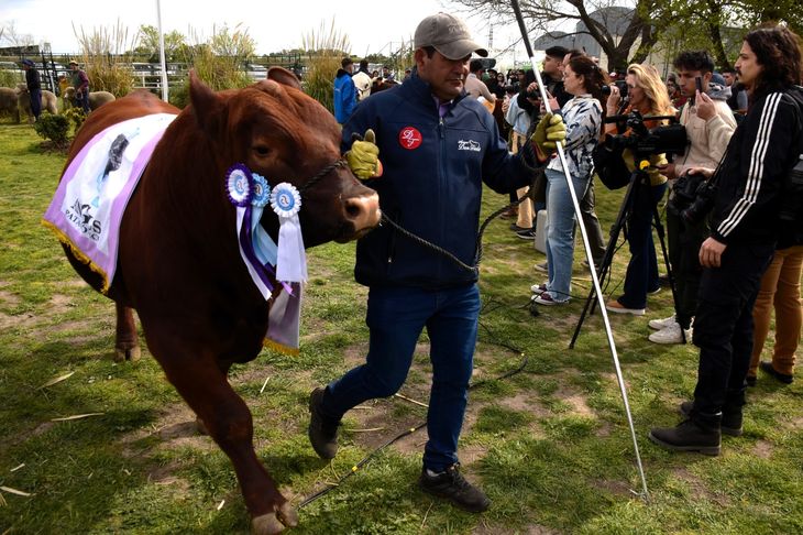 Desde el campo reclaman "reglas claras" para el sector. Foto: Federación de Sociedades Rurales de Río Negro. Desde el campo reclaman "reglas claras" para el sector. Foto: Federación de Sociedades Rurales de Río Negro.