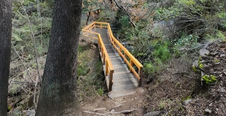 En 2025 el Parque Nacional Los Alerces sumó un nuevo mirador en la cascada Irigoyen. En 2025 el Parque Nacional Los Alerces sumó un nuevo mirador en la cascada Irigoyen.
