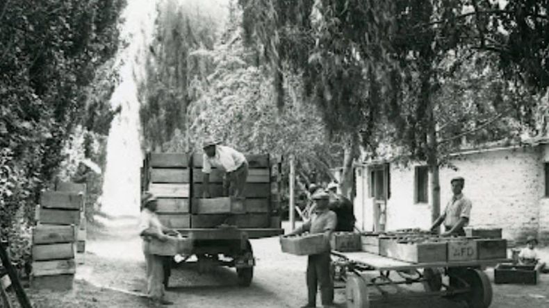 La historia de los Di Battista y los Lamperti es también la historia de Allen. Foto: gentileza
