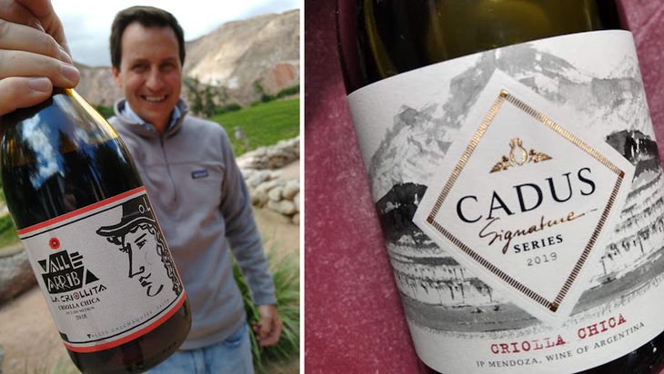 La Criolla Chica y las Criollas en general están en ascenso de cara consumo. La Criolla Chica y las Criollas en general están en ascenso de cara consumo.