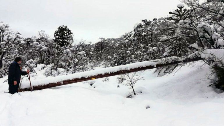 Siguen trabajando para devolver la luz al centro neuquino