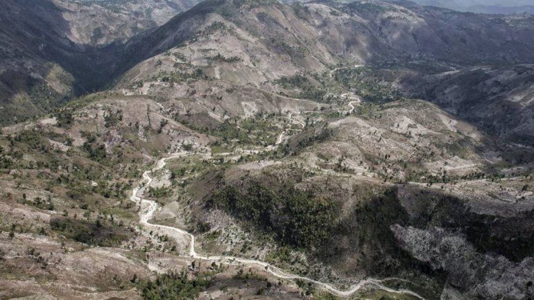 Alerta ecológica en Haití: ya casi no le quedan bosques