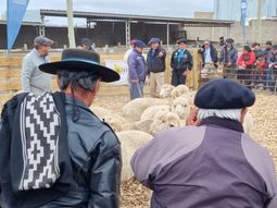 La Feria Integral de la Producción llega a Zapala este fin de semana. La Feria Integral de la Producción llega a Zapala este fin de semana.
