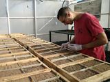El primer autor es David Ruiz, un alumno que realizó su tesis de Licenciatura en Saneamiento y Protección Ambiental con este tema. Foto: gentileza