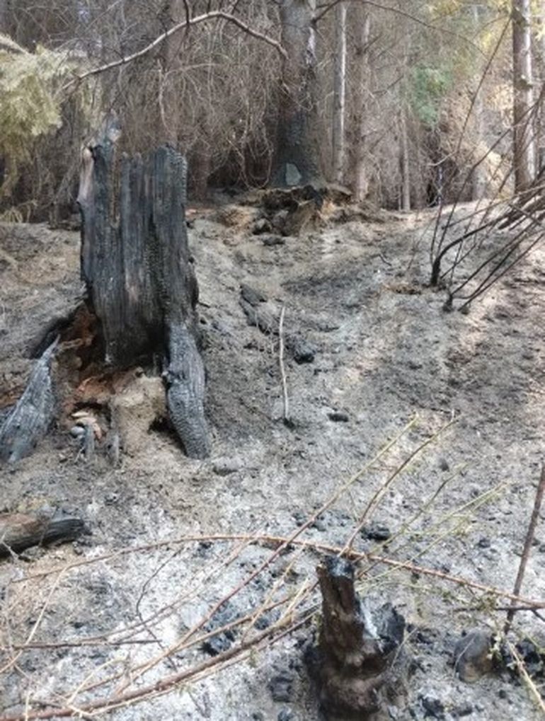Muchos de los ríos quedaron cubiertos por ceniza. Muchos de los ríos quedaron cubiertos por ceniza.