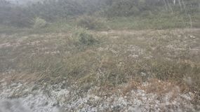 La lluvia intensa podría generar pérdidas en una temporada clave para las exportaciones de la Norpatagonia. | LM Neuquen La lluvia intensa podría generar pérdidas en una temporada clave para las exportaciones de la Norpatagonia.