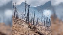 El fuego ya destruyó un bosque de lengas añosas en el Parque Nacional Los Alerces.