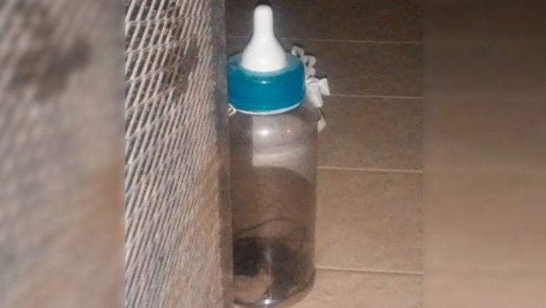 La viuda negra se fugó y dejó la tobillera adentro de una mamadera