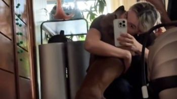 el tierno video de apolo, el perro de sofia pachano, al conocer a vito, su hijo el tierno video de apolo, el perro de sofia pachano, al conocer a vito, su hijo